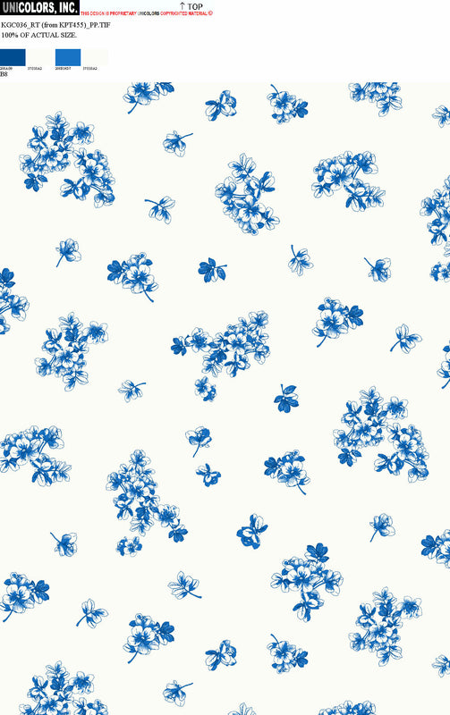 KGC036_B1 KGC036_B8