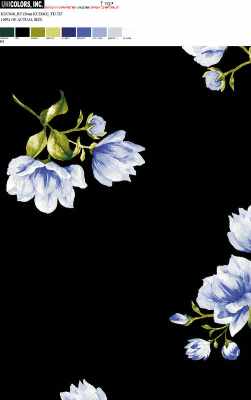 KGC048_B1 KGC048_B4