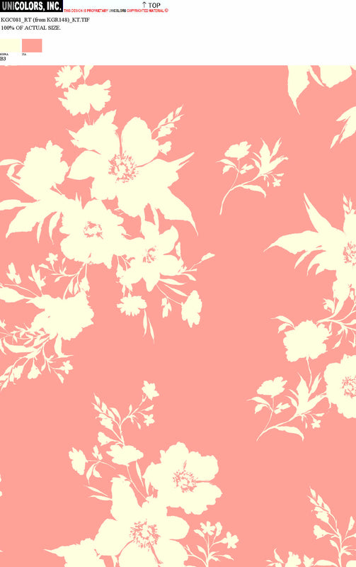 KGC081_B1 KGC081_B3