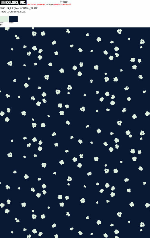 KGC124_B1 KGC124_B8