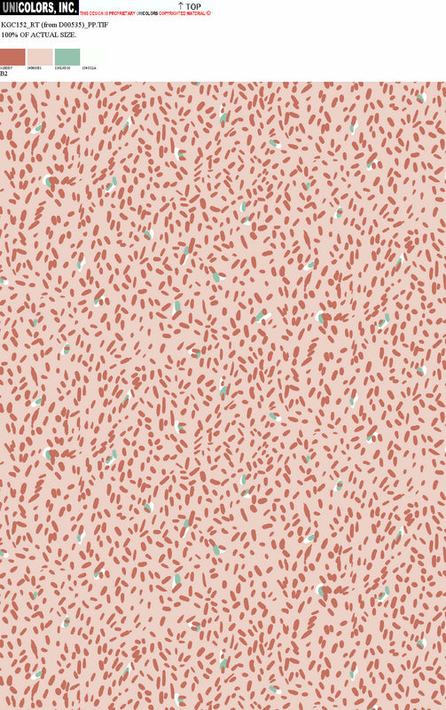 KGC152_B1 KGC152_B2