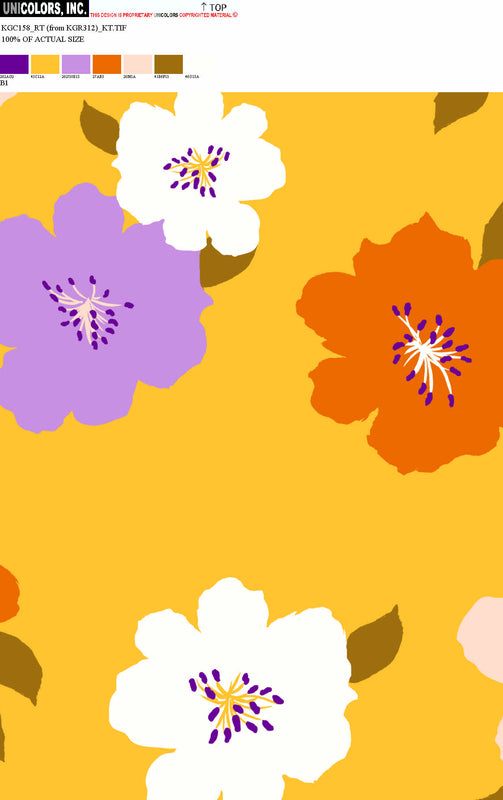 KGC158_B1 KGC158_B1