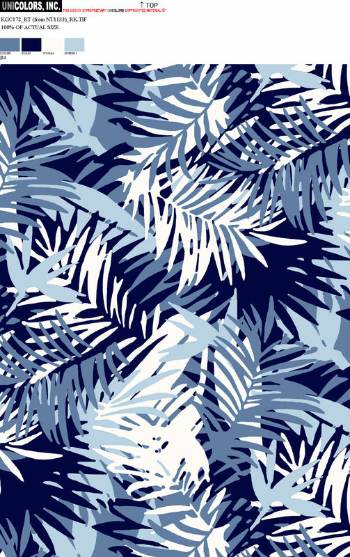 KGC172_B1 KGC172_B4