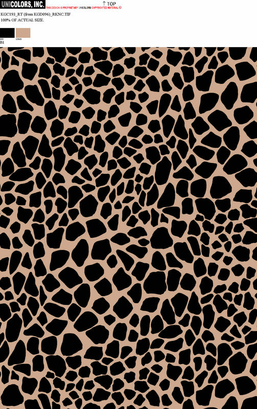 KGC193_B1 KGC193_B1
