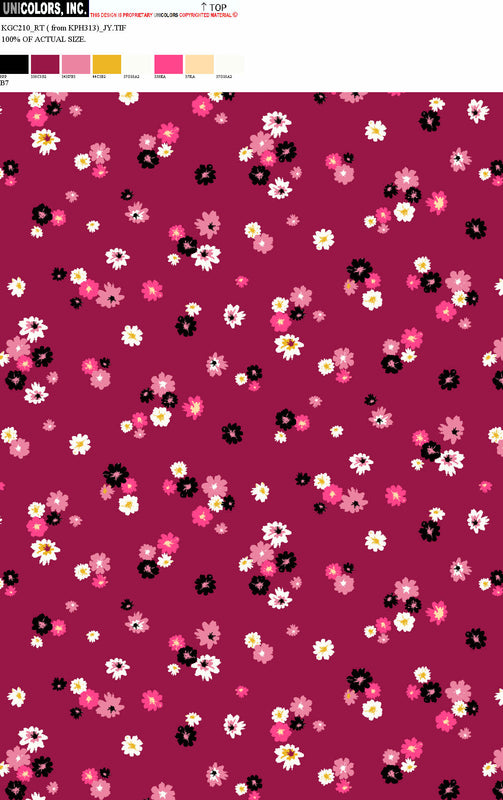 KGC210_B1 KGC210_B7