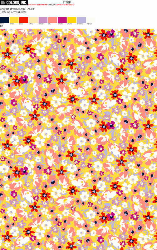 KGC216_B1 KGC216_B3
