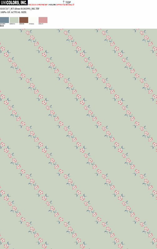 KGC217_B1 KGC217_B10