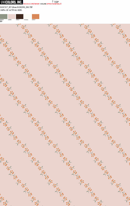 KGC217_B1 KGC217_B9