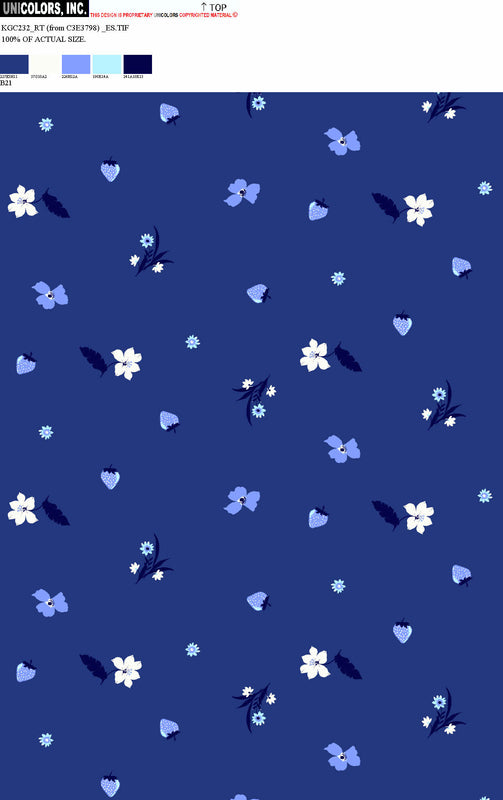 KGC232_B1 KGC232_B21
