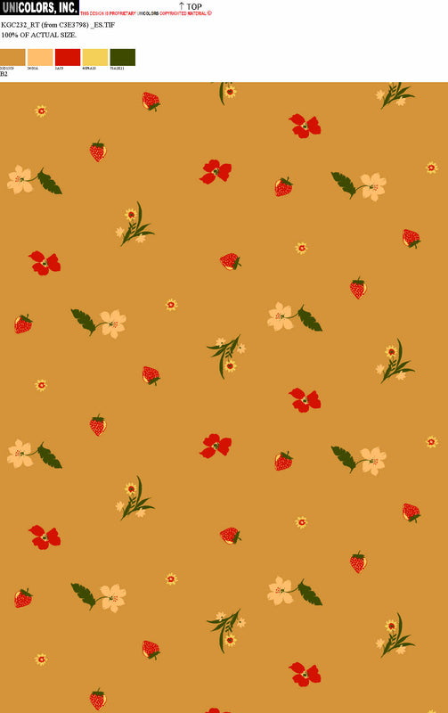 KGC232_B1 KGC232_B2