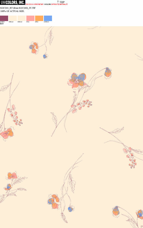 KGC241_B1 KGC241_B19