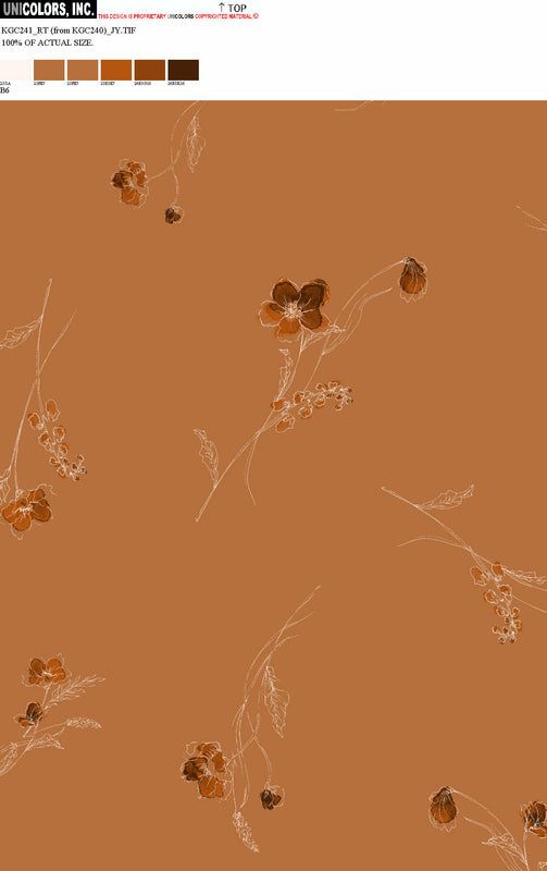KGC241_B1 KGC241_B6