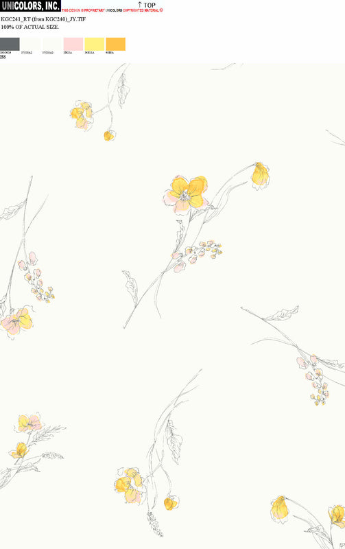 KGC241_B1 KGC241_B8