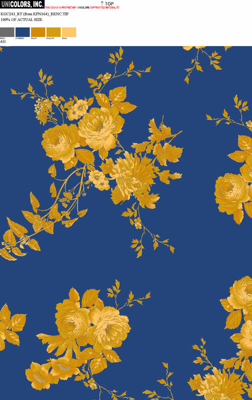 KGC243_A1 KGC243_A11