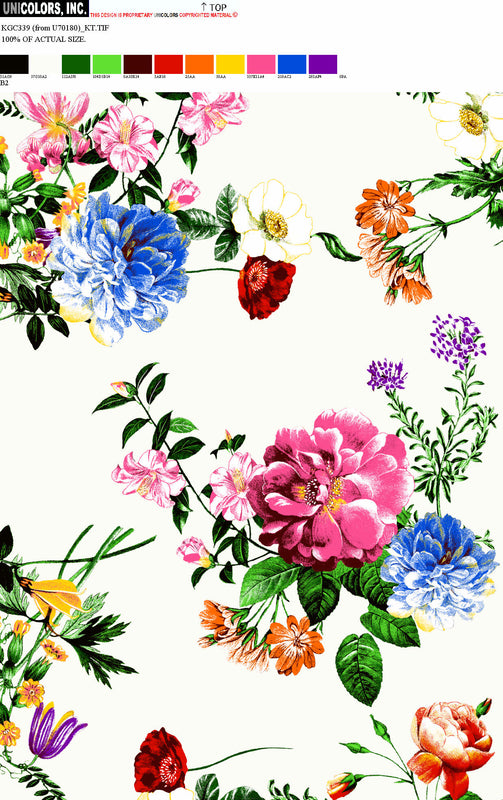 KGC339_B1 KGC339_B2