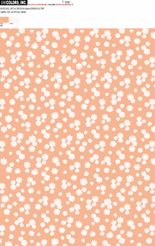 KGC432_A1 KGC432_A3