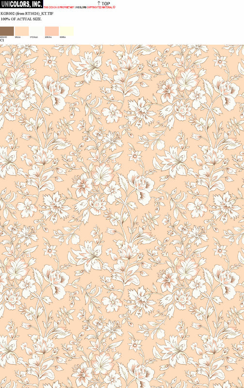 KGR002_B1 KGR002_C1