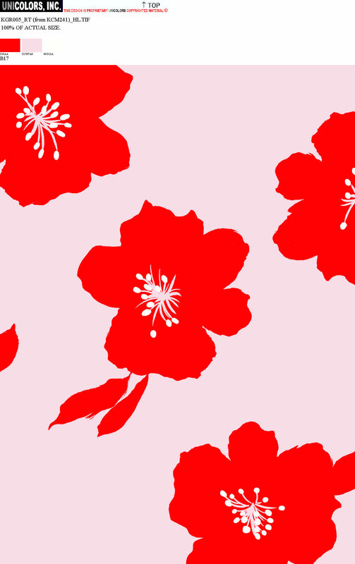 KGR005_B1 KGR005_B17