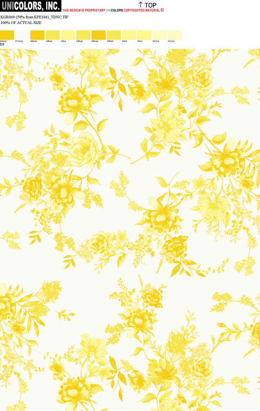 KGR049_B1 KGR049_D3