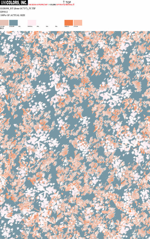 KGR098_B1 KGR098_B13