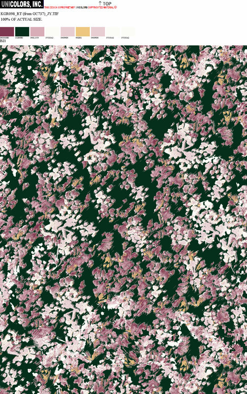 KGR098_B1 KGR098_B21