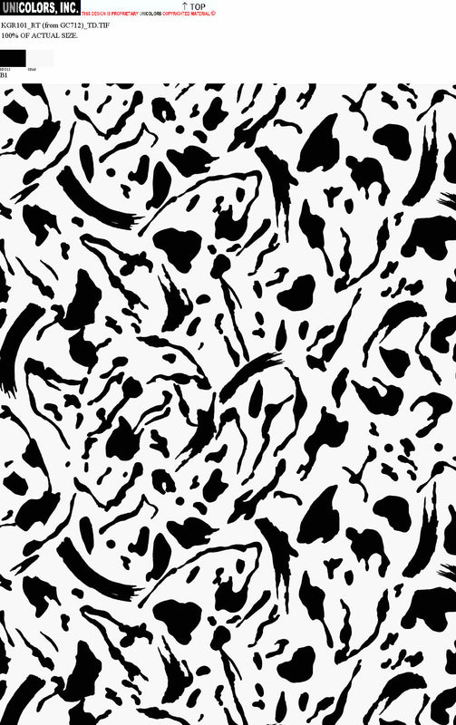 KGR101_B1 KGR101_B1
