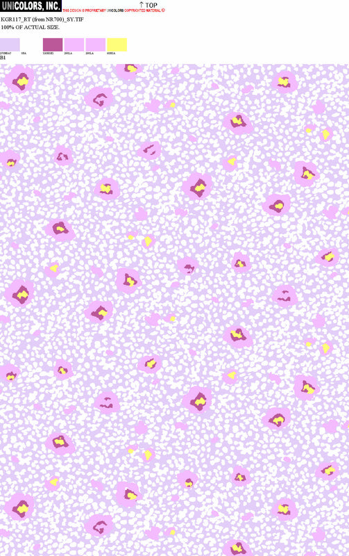 KGR117_B1 KGR117_B1
