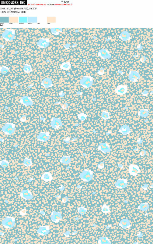 KGR117_B1 KGR117_B6