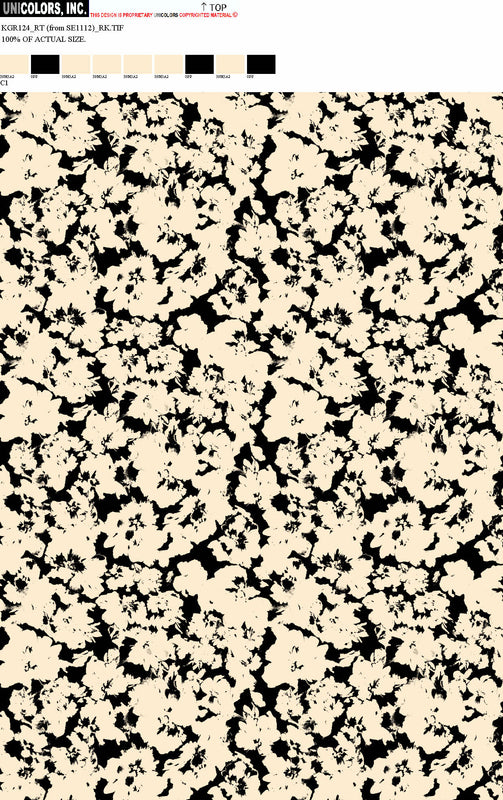 KGR124_B1 KGR124_C1