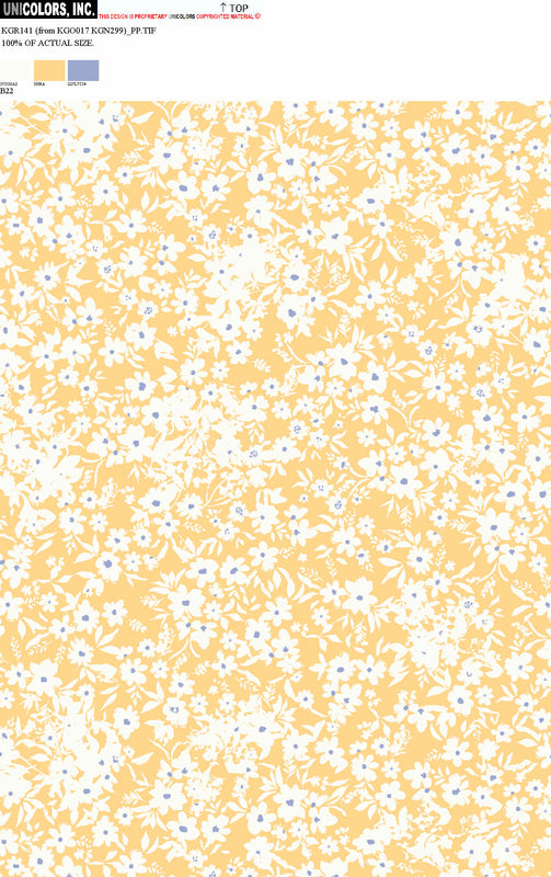 KGR141_B1 KGR141_B22