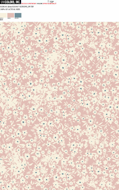 KGR141_B1 KGR141_B34