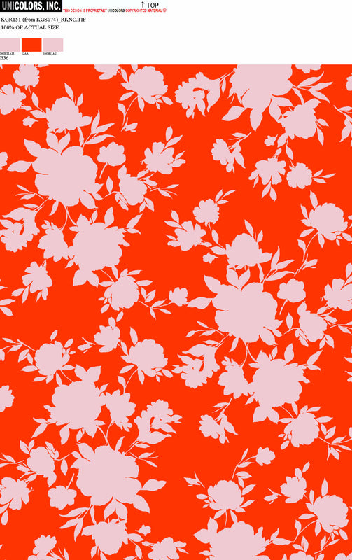 KGR151_B1 KGR151_B36