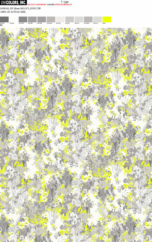 KGR163_B1 KGR163_B2