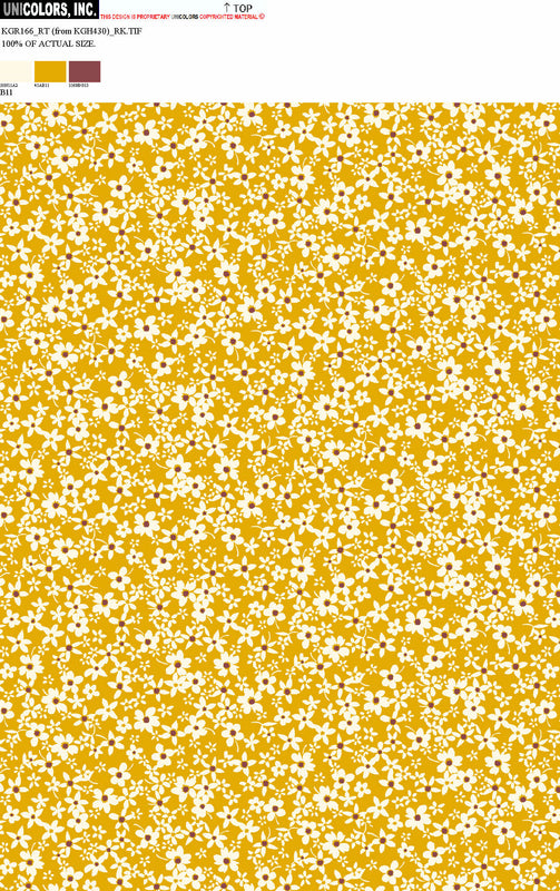 KGR166_B1 KGR166_B11