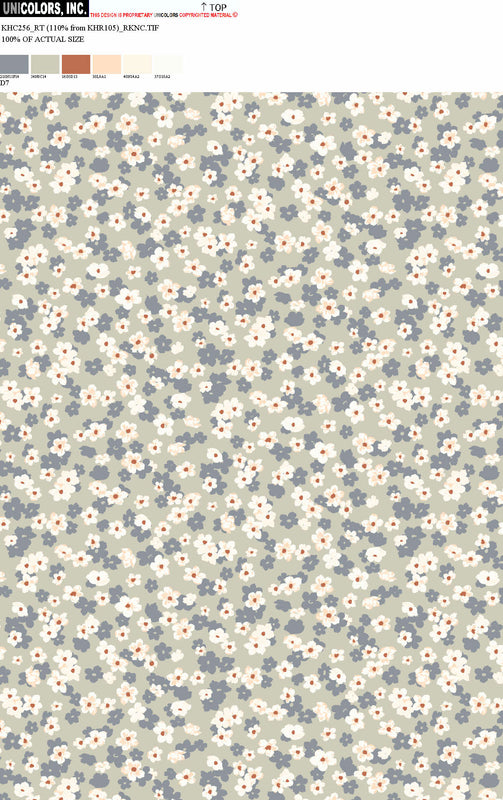 KHC256_D19 KHC256_D7