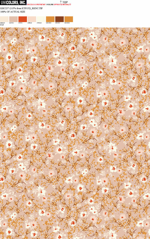 KHC257_C14 KHC257_C13