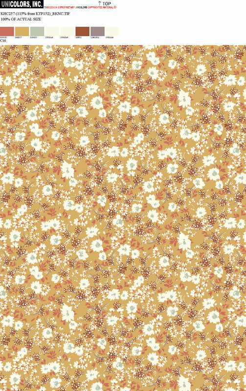 KHC257_C14 KHC257_C16