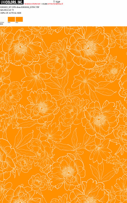 KHG022_D1 KHG022_D11