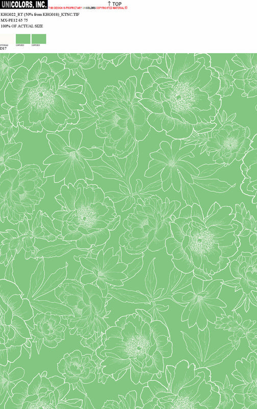 KHG022_D1 KHG022_D17