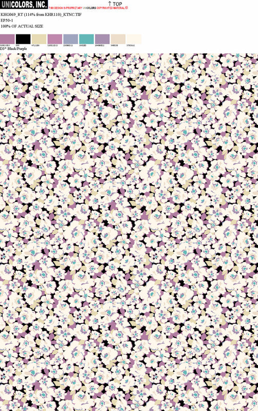 KHG069_D4 KHG069_D3