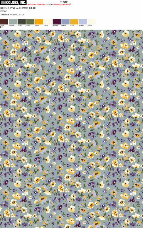 KHG142_D3 KHG142_D11