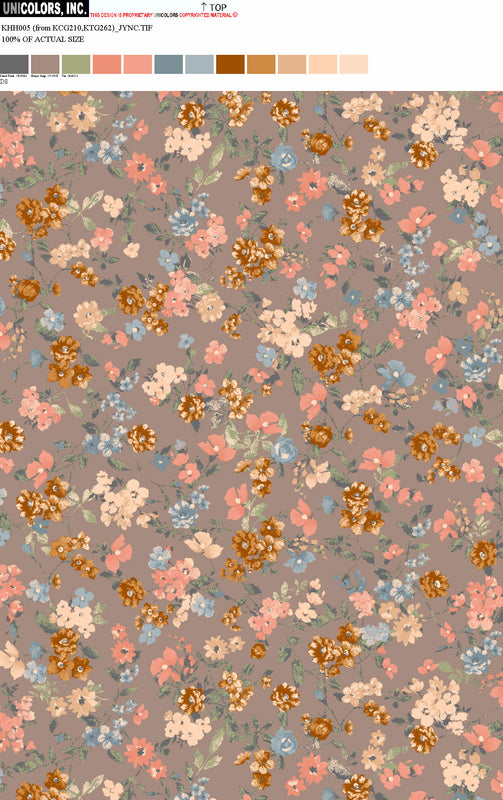 KHH005_D1 KHH005_D8