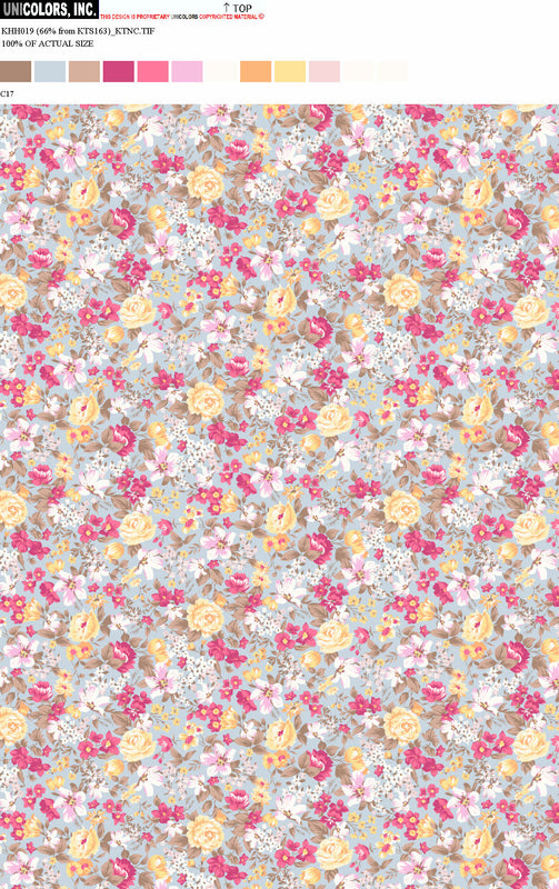 KHH019_D1 KHH019_C17