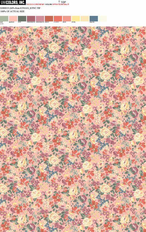 KHH019_D1 KHH019_C19