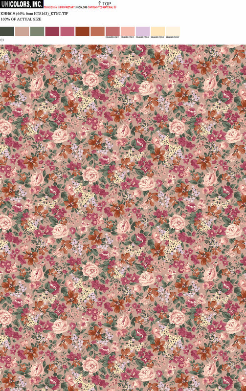 KHH019_D1 KHH019_C3