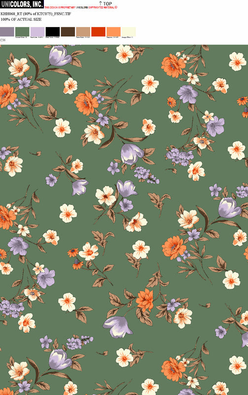 KHH068_C1 KHH068_C36