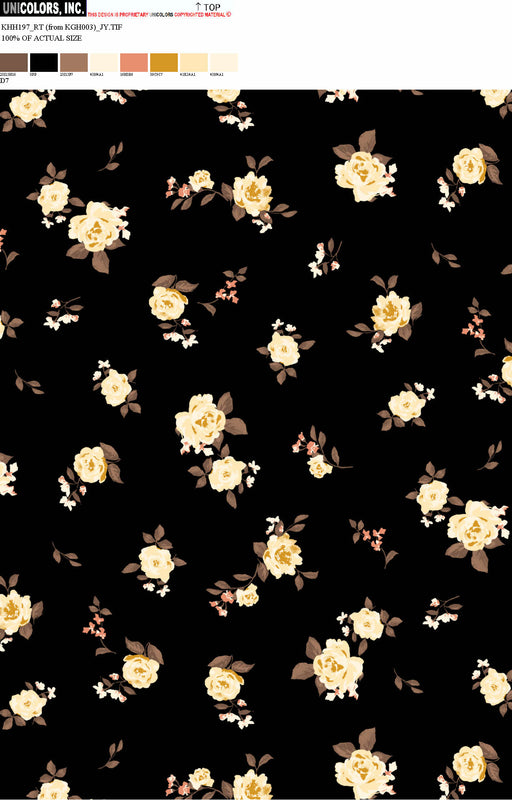 KHH197_D1 KHH197_D7