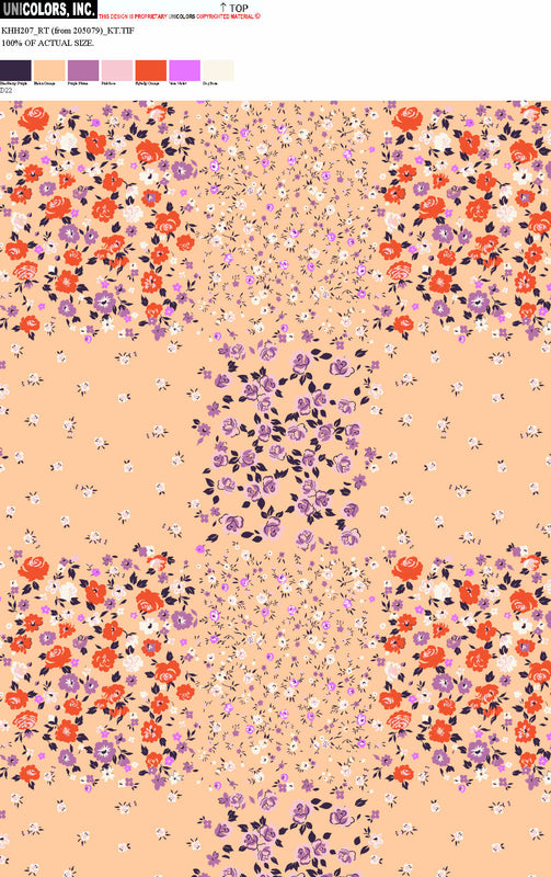 KHH207_D1 KHH207_D22