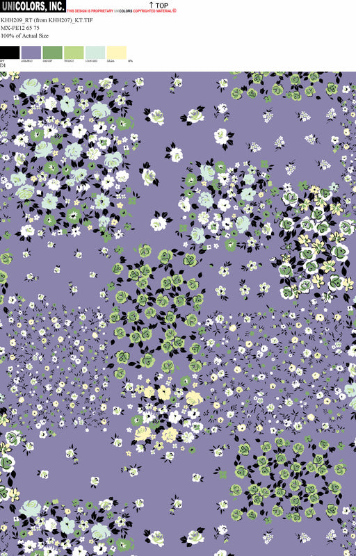 KHH209_D1 KHH209_D1