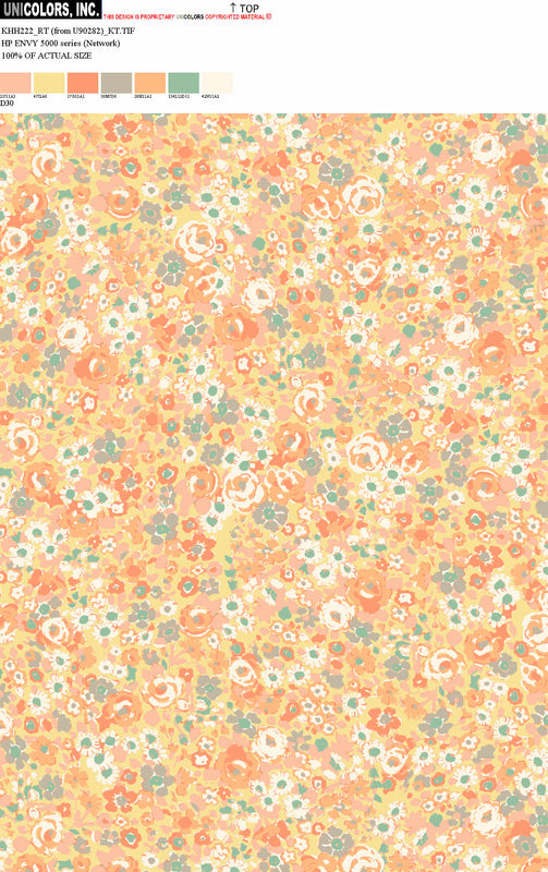 KHH222_D1 KHH222_D30